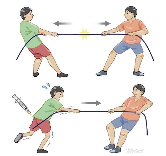 `alt` Figura 2.2. Ilustración esquemática del concepto de reequilibramiento botulínico. `alt`