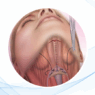 Radiofrecuencia facial: tecnología avanzada para rejuvenecer sin cirugía
