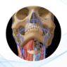 Imagenología estratégica en dolor orofacial y ATM: cuándo usarla y cómo interpretarla 