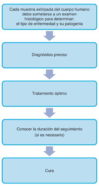 `alt` biopsia oral Figura 1.1. (Ventaja de la biopsia).