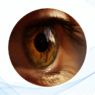 Trastornos Vasculares de la Retina: Diagnóstico y Manejo Basado en el Atlas de la Retina