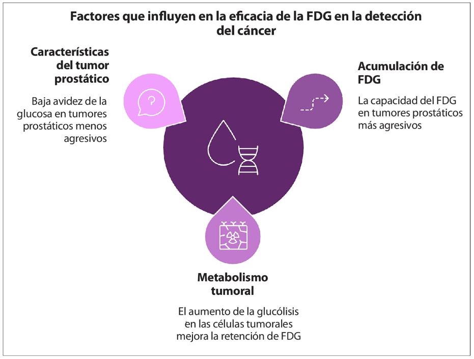 Figura 5.2. Factores que influyen en la eficacia de la FDG en la detección del cáncer