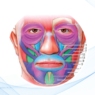 Rejuvenecimiento facial con cicatriz corta 