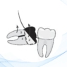 Una mirada integral al seguro dental